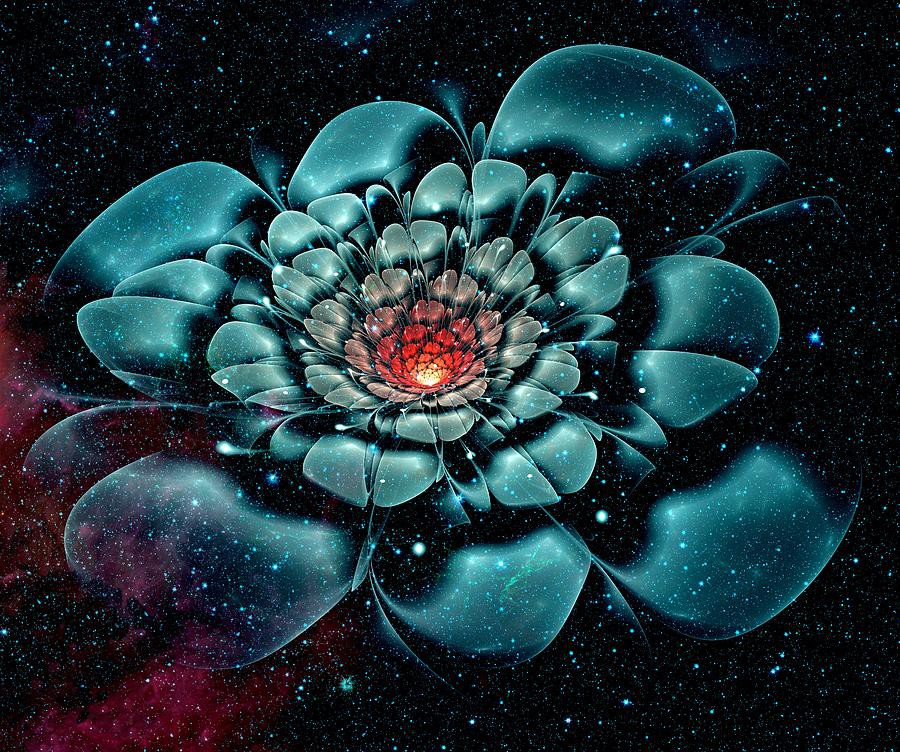 cosmic-flower-anastasiya-malakhova.jpg